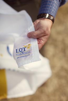 Litts Quality Technologies, Inc. offers standards flags